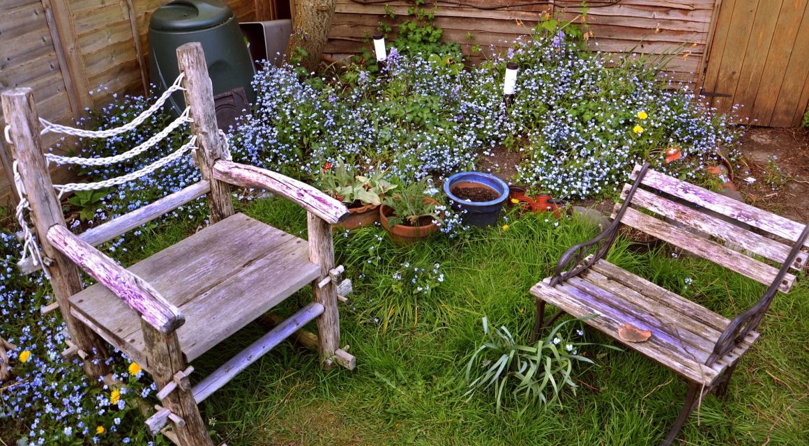 Bench in a backyard garden