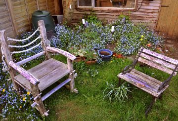 Bench in a backyard garden