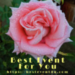best even for you logo